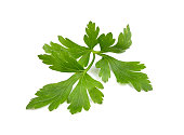 parsley leaf