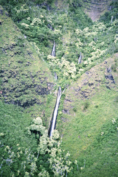 hawaiian cachoeira - waterfall hawaii islands maui oahu - fotografias e filmes do acervo