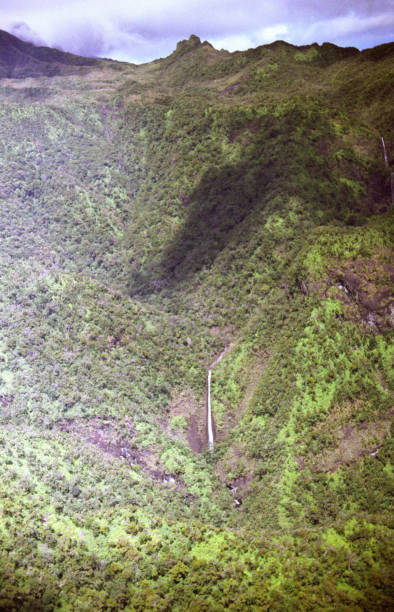 istock Lush Hawaiian Hills 1449879661