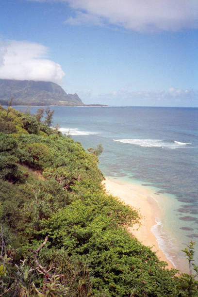 istock Hawaii Beach Coastline Film Photograph 1449879773