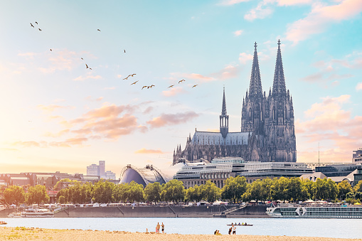 Scenic view of the Rhine River beach and the Cologne skyline with picturesque birds and recognizable architectural silhouettes of the famous Koln Cathedral