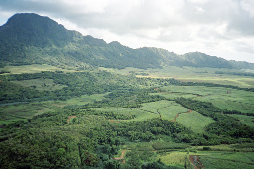 A vintage 1980s film photograph aerial view of lush Hawaiian rural farm and ranch land.