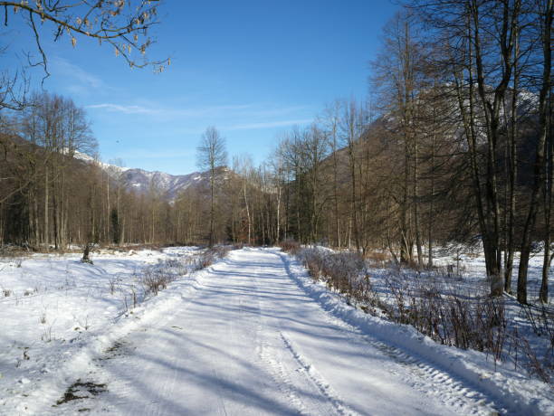 istock Snowy Valsesia landscape 1449883093