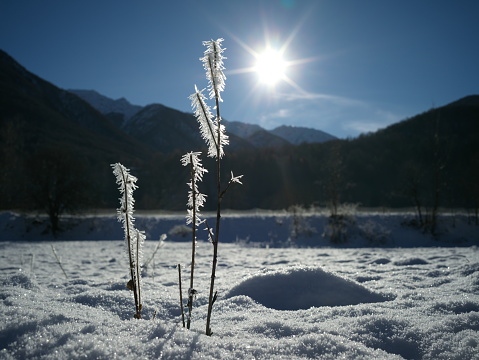 Snowy Valsesia landscape