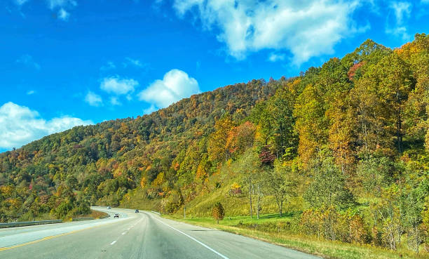 istock Country road in mountains 1449885918