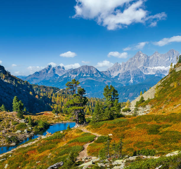 istock Autumn Alps mountain lake Spiegelsee or Mittersee or Mirror Lake, Austria. 1449887002