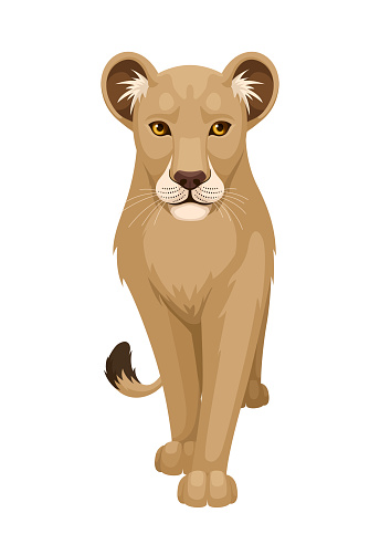 Lioness Walking. Flat Design. Vector illustration.