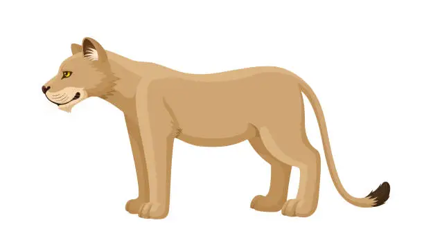 Vector illustration of Lioness Standing. Flat Design.
