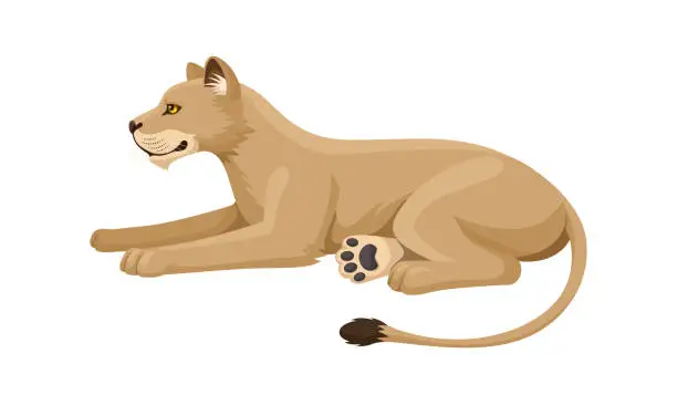 Vector illustration of Lioness Lying. Flat Design.