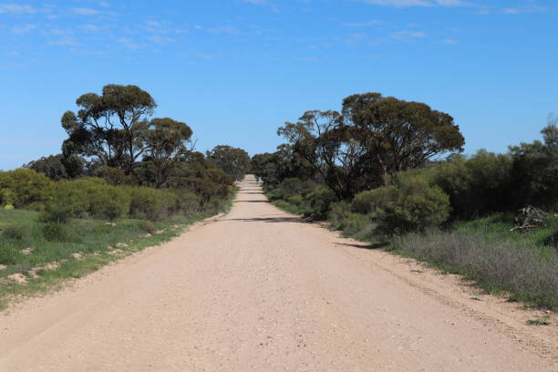 istock Road To Some Were 1449887402