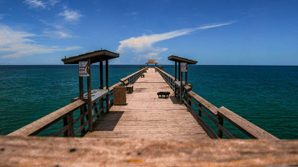 Pier Pier naples beach stock pictures, royalty-free photos & images