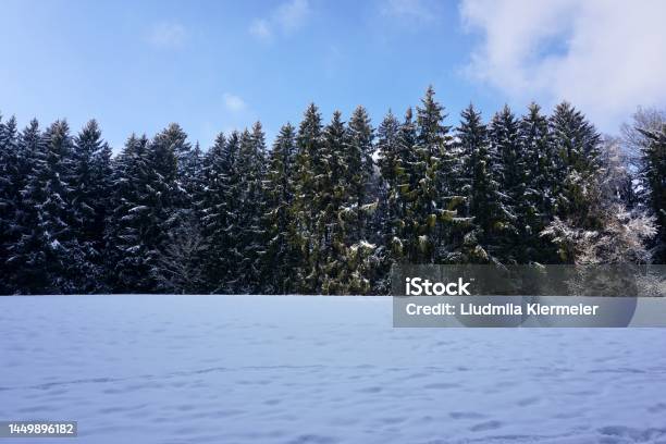 A Path Trodden Through The Snow Into The Forest Walking Snowcovered Path Leading To The Forest Bavaria In Winter Bavarian Fields And Forests In Winter In The Snow Stock Photo - Download Image Now
