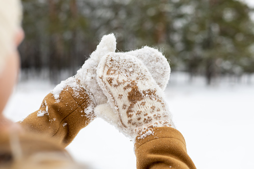 Hands of a girl in beautiful woolen mittens against the background of a green winter forest. Blur zone for the inscription. Christmas concept.