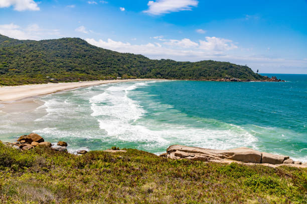 istock Naufragados beach 1449903575