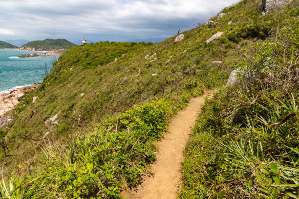 istock Trail to lighthouse in Naufragados beach 1449903701