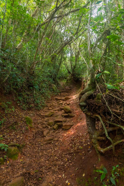 istock Trail to Naufragados beach 1449903719