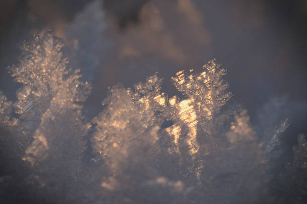istock crystals of ice, beautiful detail in backlight 1449912207