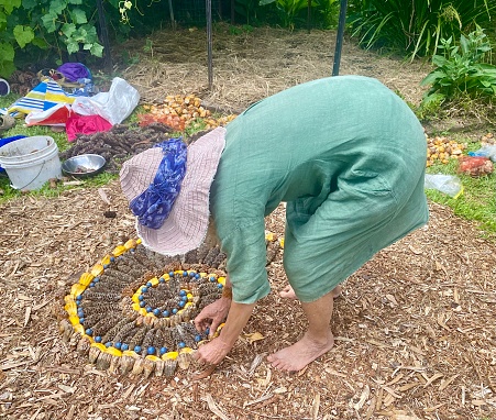 Woman bending down making spiral ground mural art from organic seeds and plants on ground from collected produce at Mullumbimby Community Gardens NSW Australia