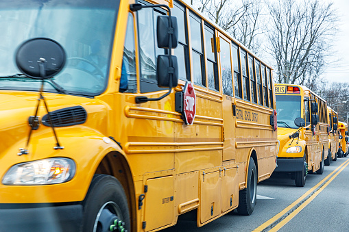 A half dozen yellow school buses are waiting in line in traffic for a traffic signal to change at a road intersection.