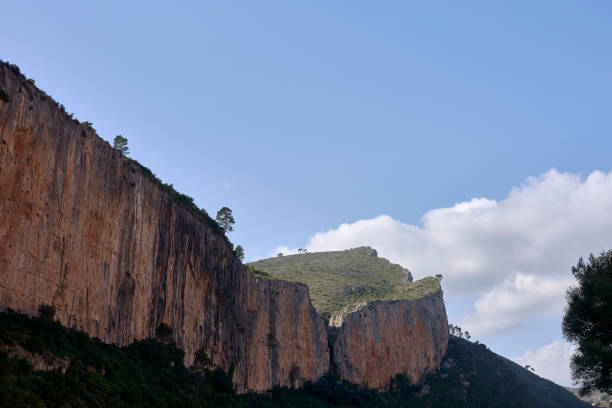 istock Mountain landscape, with trees and sky with clouds 1449938003