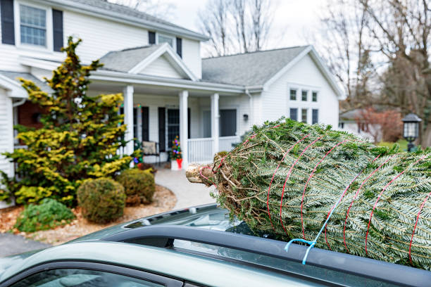 Holiday Christmas Tree Tied to Car Roof An evergreen fir Christmas tree still tied to the car roof has just arrived home to this colonial style suburban house after having been cut down at a local Christmas tree farm. It will soon be set up and decorated for the holiday season celebration. driveway colonial style house residential structure stock pictures, royalty-free photos & images