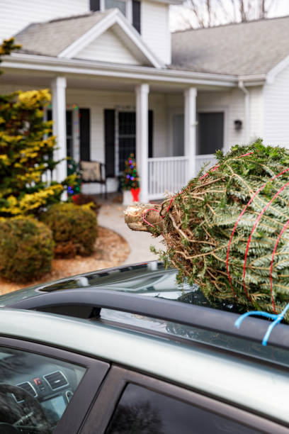 車の屋根に縛られたクリスマスツリー - driveway colonial style house residential structure ストックフォトと画像