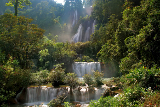 istock beautiful waterfall in green forest 1449953602
