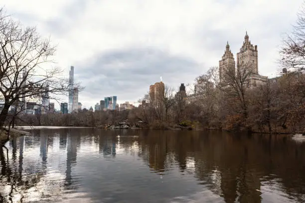 central park in new york in early winter