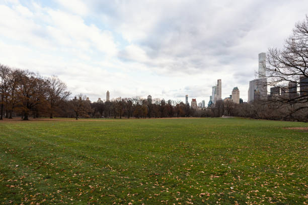 istock central park in new york in early winter 1449954926