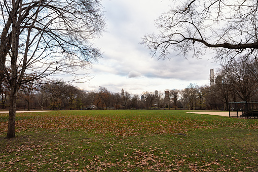 central park in new york in early winter