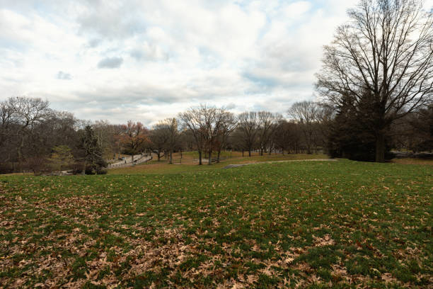 istock central park in new york in early winter 1449955015