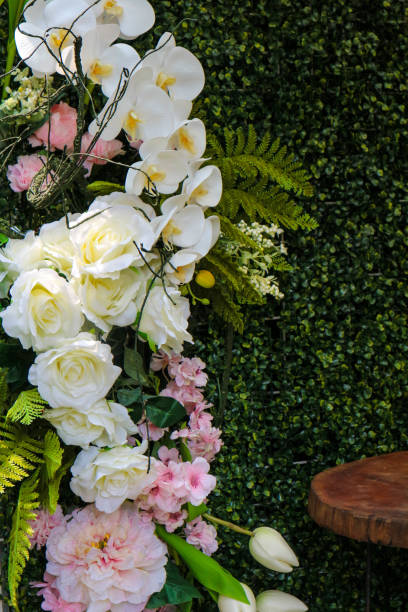 Photo of a beautifully strung white garden roses. stock photo