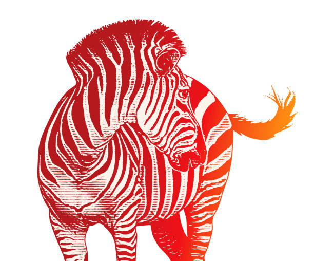 79 Red Zebra Pattern Illustrations & Clip Art - iStock