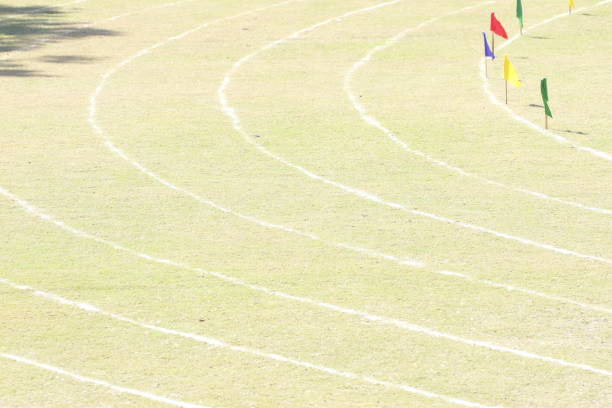 See more images in this series: Running Track Lightboxe