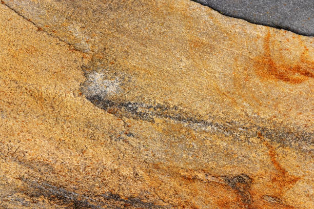 istock Marble texture abstract background in natural colors. 1449959520