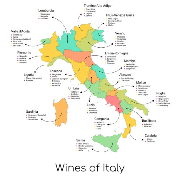illustrazioni stock, clip art, cartoni animati e icone di tendenza di mappa dei vini dell'italia e delle sue regioni - italy map