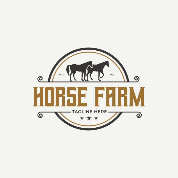 illustrations, cliparts, dessins animés et icônes de ferme de chevaux rétro vintage dans la campagne occidentale. vecteur de conception de logo - ranch