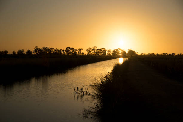 istock Golden Sunset Over Water Channel and Treeline 1449963072