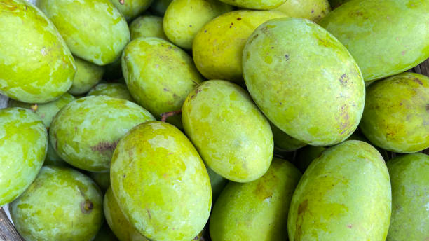 istock Kweni mango or mangifera odorata, the most fragrant mangoes fruit 1449963629
