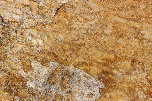istock Marble texture abstract background in natural colors. 1449964421