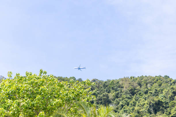 istock Airplane above rainforest against blue sky 1449974945