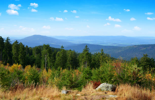 istock National park Bayerischer Wald, Germany. 1449977706