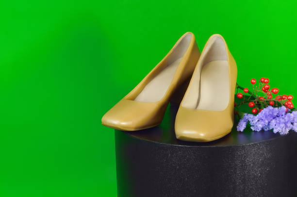 High Heels on the Green Background/Studio Shot