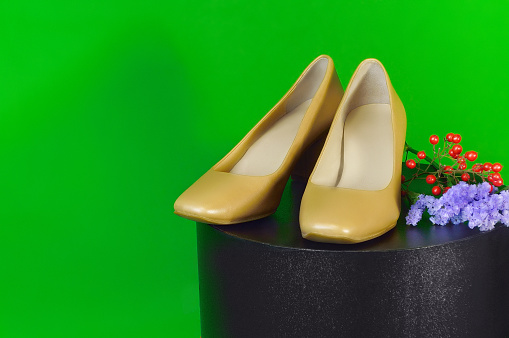 High Heels on the Green Background/Studio Shot
