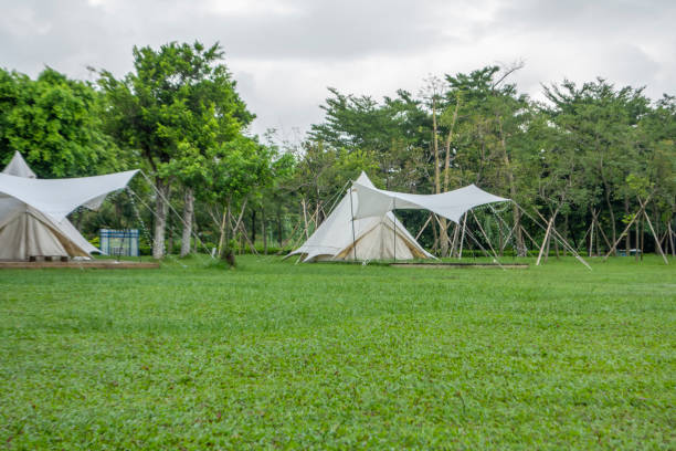 istock Camping tents on the park lawn 1450000206