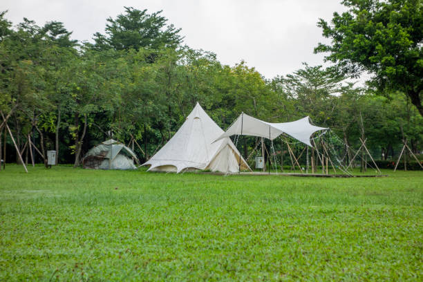istock Camping tents on the park lawn 1450000319