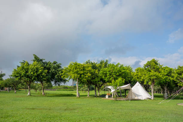 istock Camping tents on the park lawn 1450001225