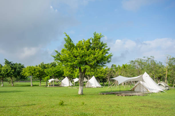 istock Camping tents on the park lawn 1450001313
