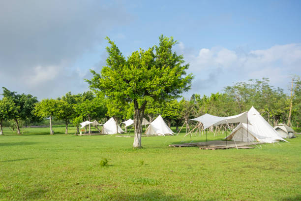 istock Camping tents on the park lawn 1450001340