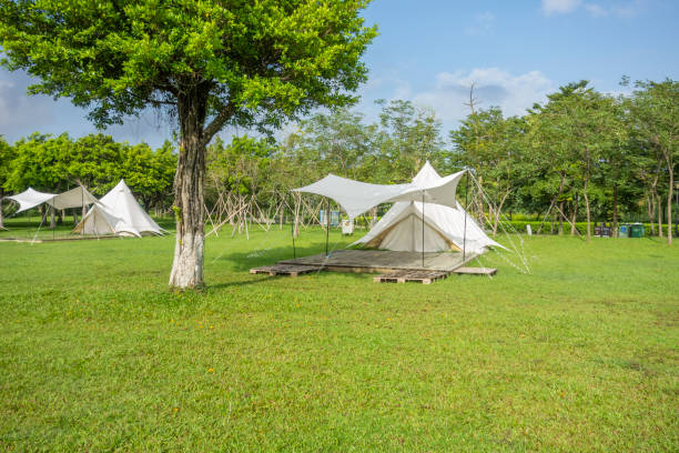istock Camping tents on the park lawn 1450001357